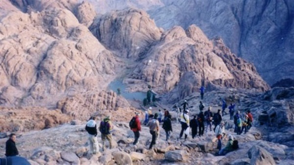 صدى العرب