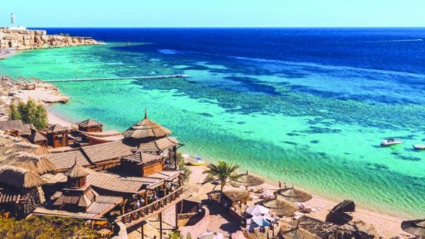 صدى العرب