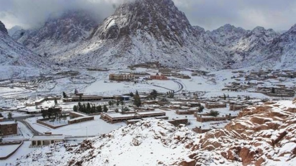 صدى العرب