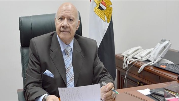 المستشار علي رزق