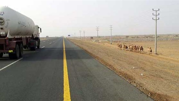 صدى العرب