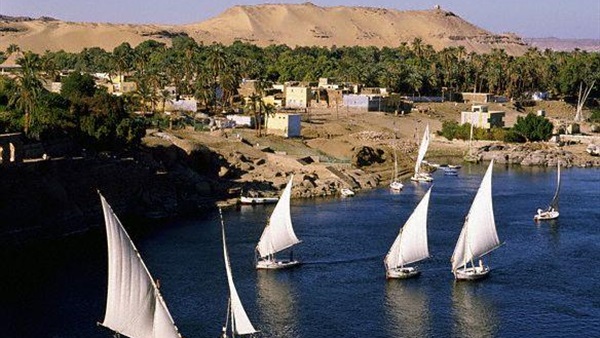 صدى العرب
