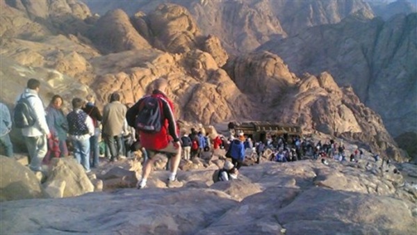 صدى العرب