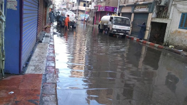 صدى العرب