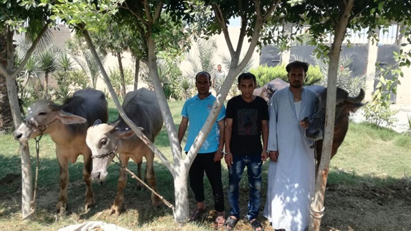 صدى العرب