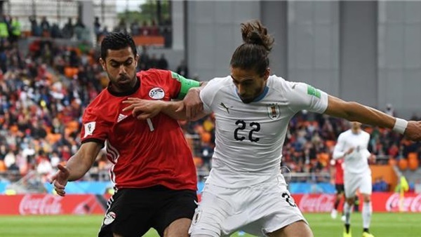 صدى العرب