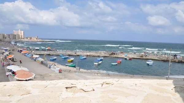 صدى العرب