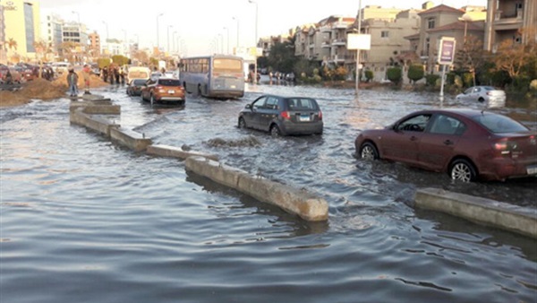 صدى العرب