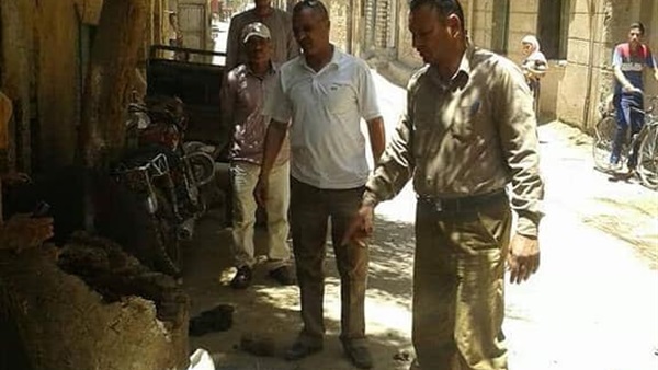 صدى العرب