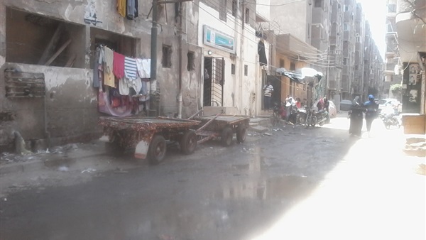 صدى العرب