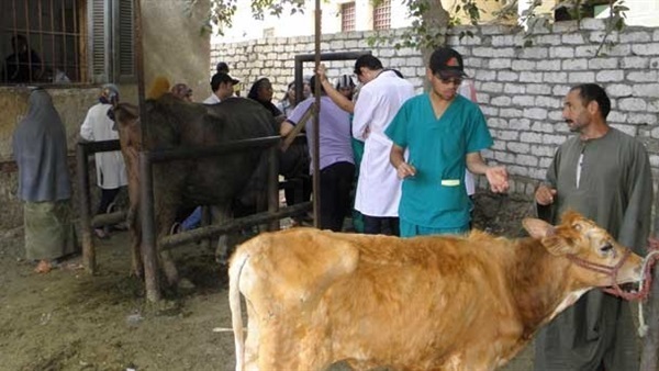 صورة ارشيفية