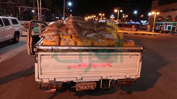 صدى العرب
