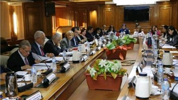  لجنة المبادرة المصرية