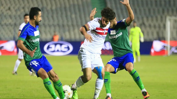 صدى العرب