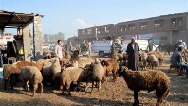 صورة ارشيفية