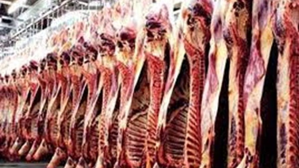 صورة ارشيفية