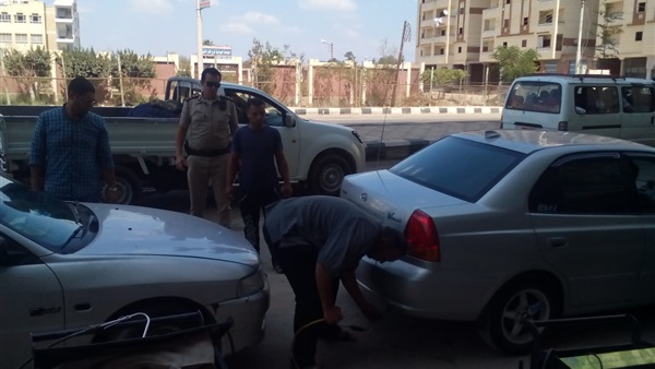 صدى العرب