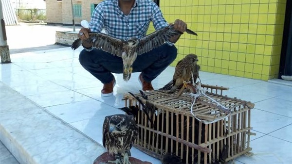 صدى العرب