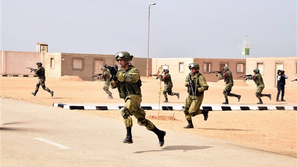 صدى العرب