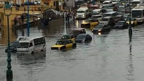 صدى العرب