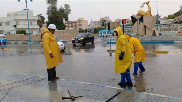 صدى العرب