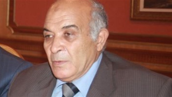 المستشار محمد رضا