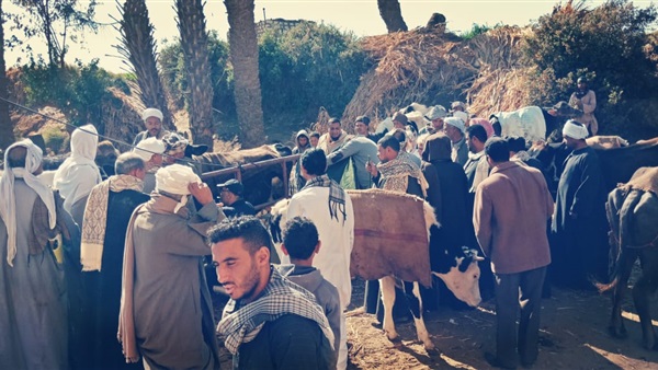 صدى العرب
