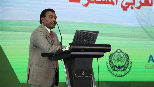 صدى العرب