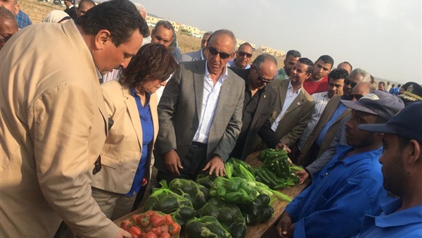 صدى العرب