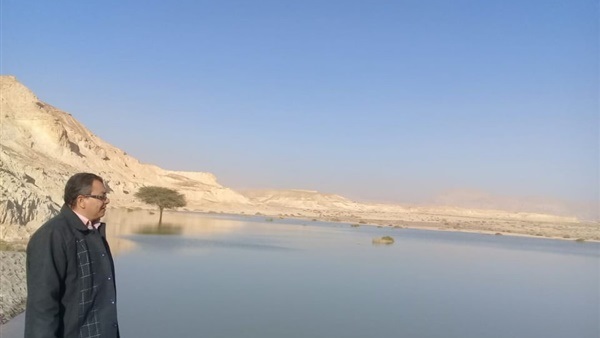 صدى العرب