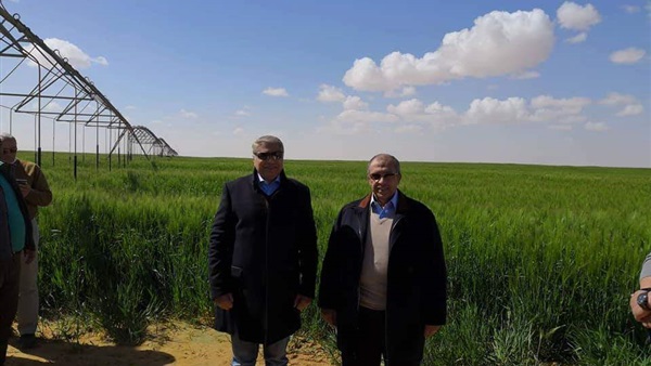 صدى العرب