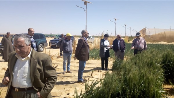 صدى العرب