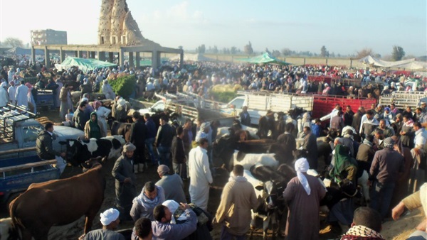 صدى العرب