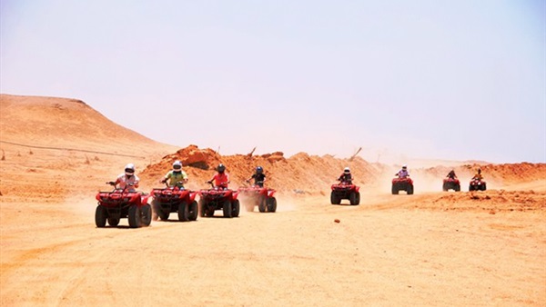 صدى العرب