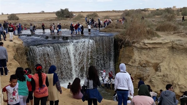 صدى العرب