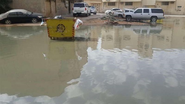 صدى العرب