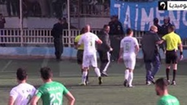 صدى العرب