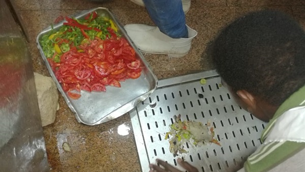صدى العرب