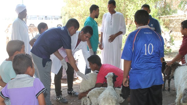 صدى العرب
