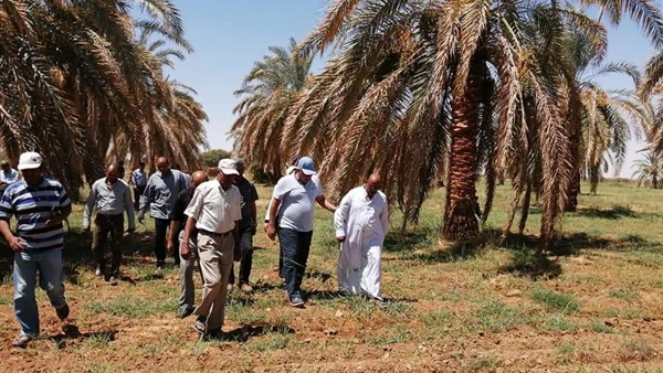 صدى العرب