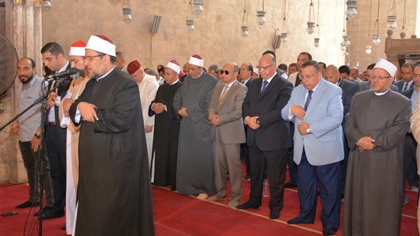 صدى العرب