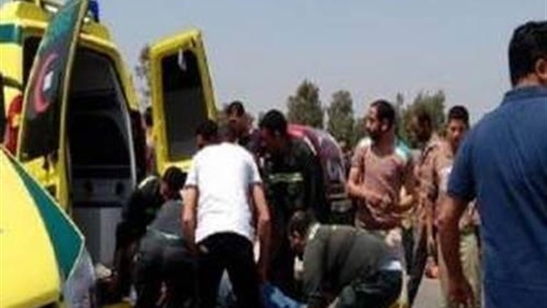 صدى العرب