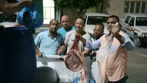 صدى العرب