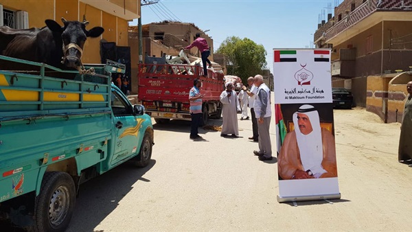 صدى العرب