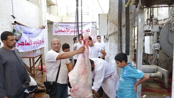صدى العرب