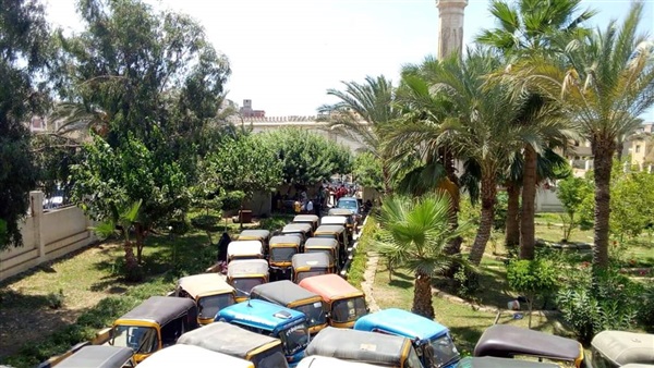 صدى العرب