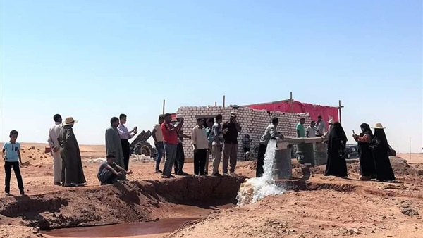 صدى العرب