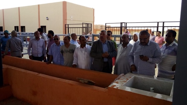 صدى العرب