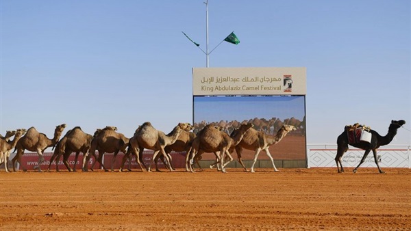 صدى العرب
