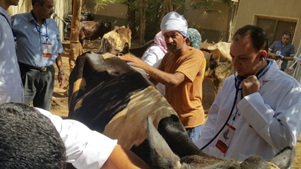 صدى العرب